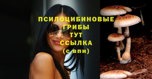 шишки Каменногорск