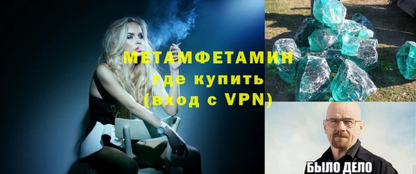 шишки Каменногорск