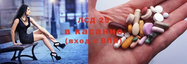 шишки Каменногорск