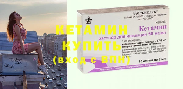 шишки Каменногорск