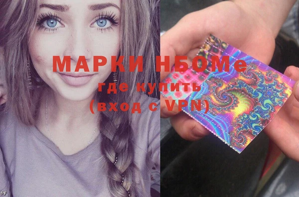 стаф Каменка