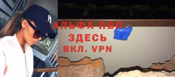 шишки Каменногорск
