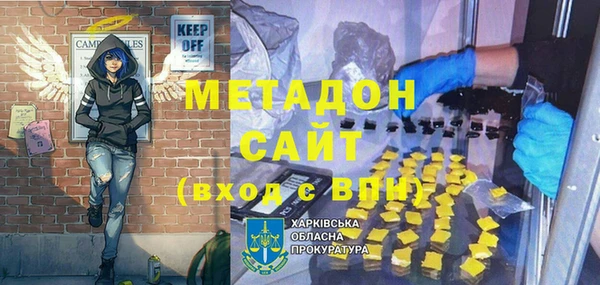 шишки Каменногорск