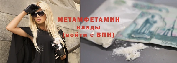 шишки Каменногорск