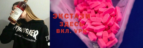 стаф Каменка