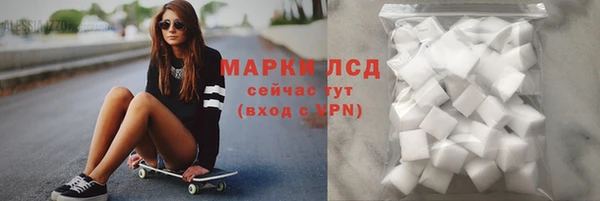 стаф Каменка
