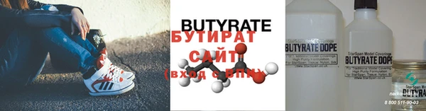 стаф Каменка