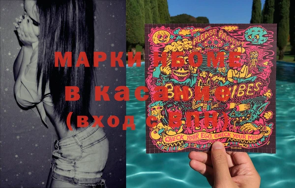 шишки Каменногорск