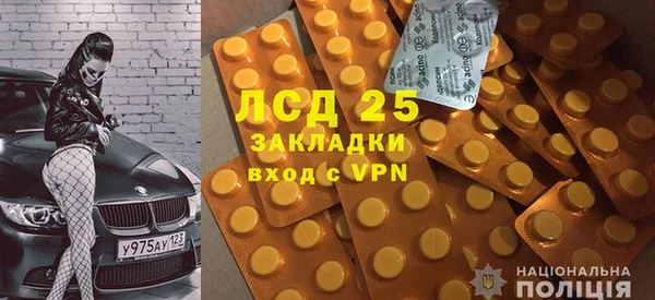 стаф Каменка