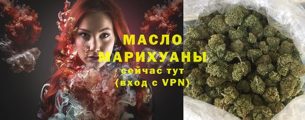 шишки Каменногорск