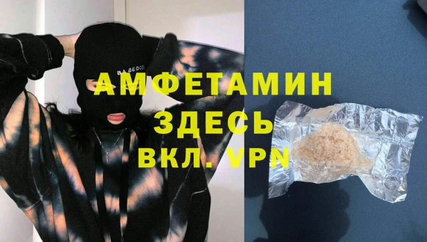 стаф Каменка