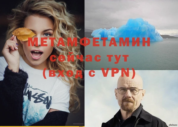 стаф Каменка