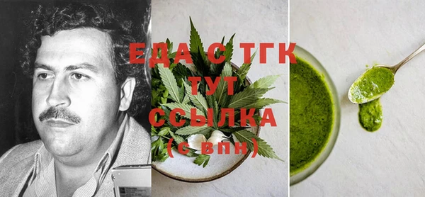 стаф Каменка