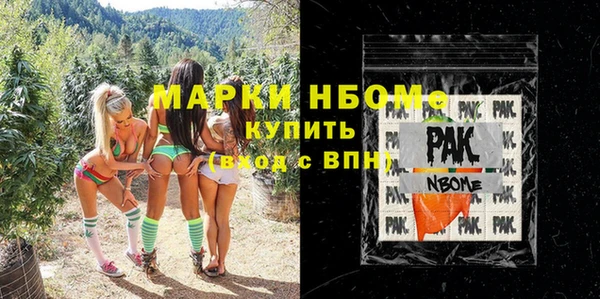 стаф Каменка