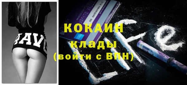стаф Каменка
