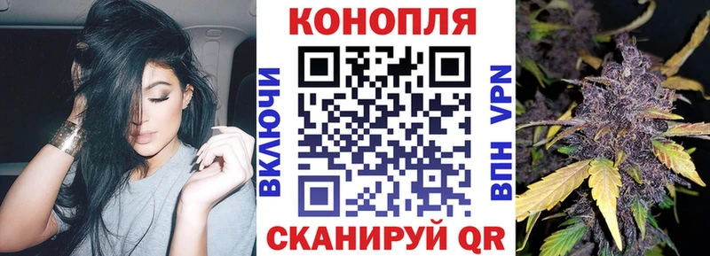 Купить закладки  Бокситогорск  Бошки Шишки Amnesia 